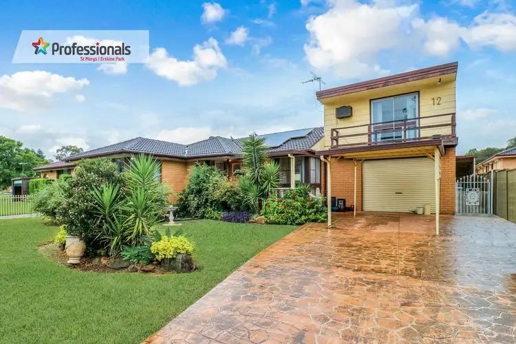 12 Buckland Road, St Clair NSW 2759