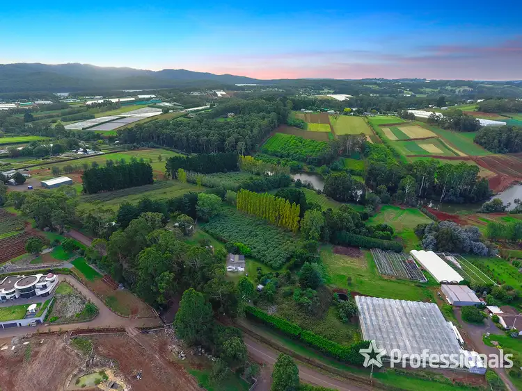 Second view of Homely house listing, 155 Macclesfield Road, Monbulk VIC 3793