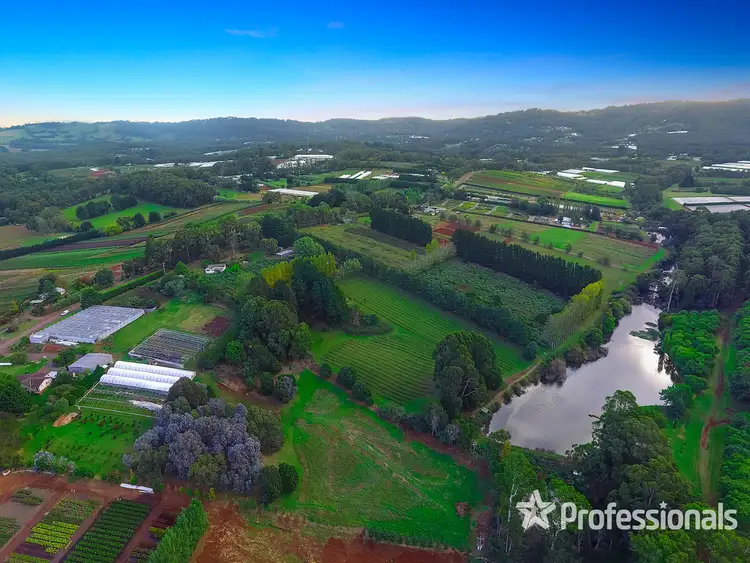Third view of Homely house listing, 155 Macclesfield Road, Monbulk VIC 3793