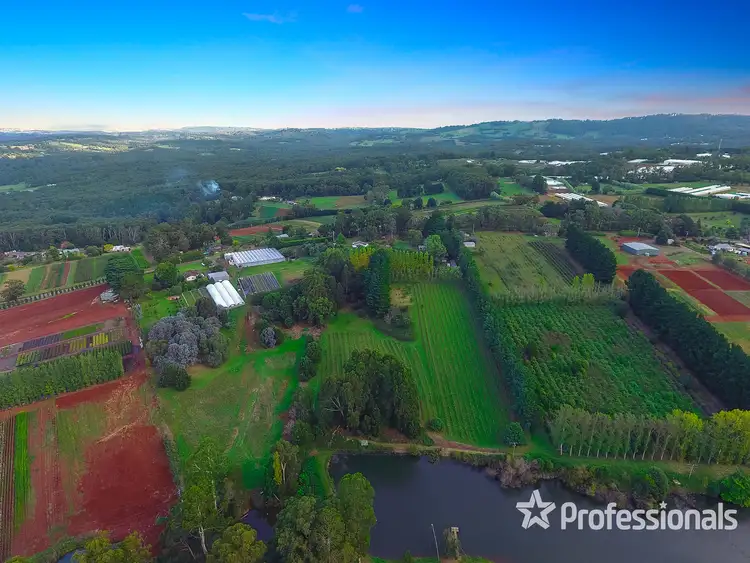 Fourth view of Homely house listing, 155 Macclesfield Road, Monbulk VIC 3793