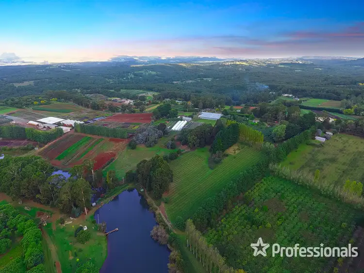 Fifth view of Homely house listing, 155 Macclesfield Road, Monbulk VIC 3793