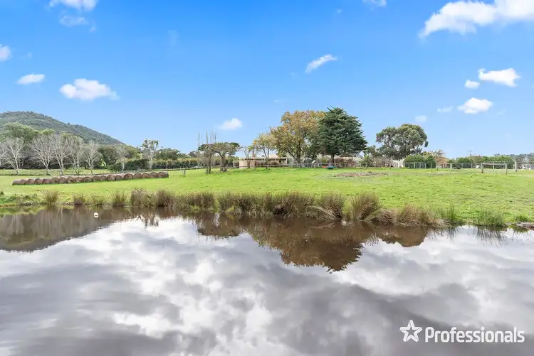 Fourth view of Homely rural property listing, 1948 Melba Highway, Dixons Creek VIC 3775