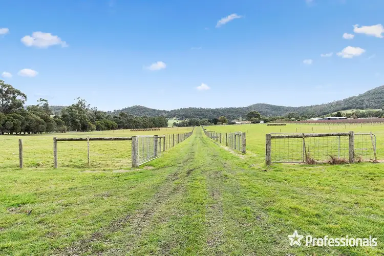 Fifth view of Homely rural property listing, 1948 Melba Highway, Dixons Creek VIC 3775