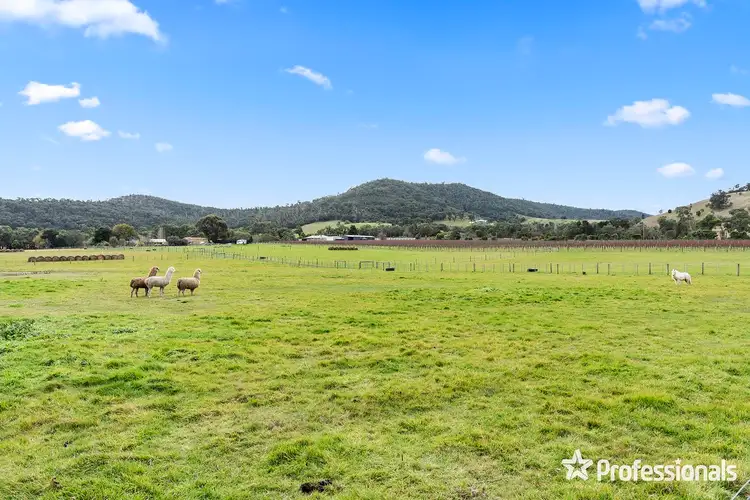 Sixth view of Homely rural property listing, 1948 Melba Highway, Dixons Creek VIC 3775