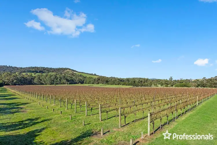 Fourth view of Homely rural property listing, 1952 Melba Highway, Dixons Creek VIC 3775