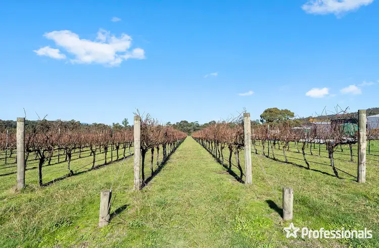 Fifth view of Homely rural property listing, 1952 Melba Highway, Dixons Creek VIC 3775