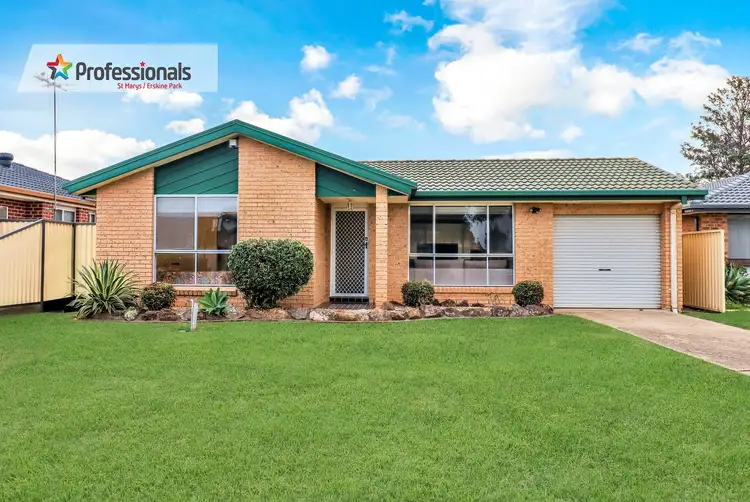 9 Kalambo Place, St Clair NSW 2759