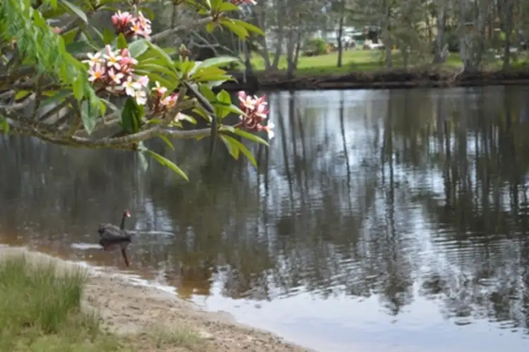 Third view of Homely house listing, 13 Shearwater Crescent, Harrington NSW 2427