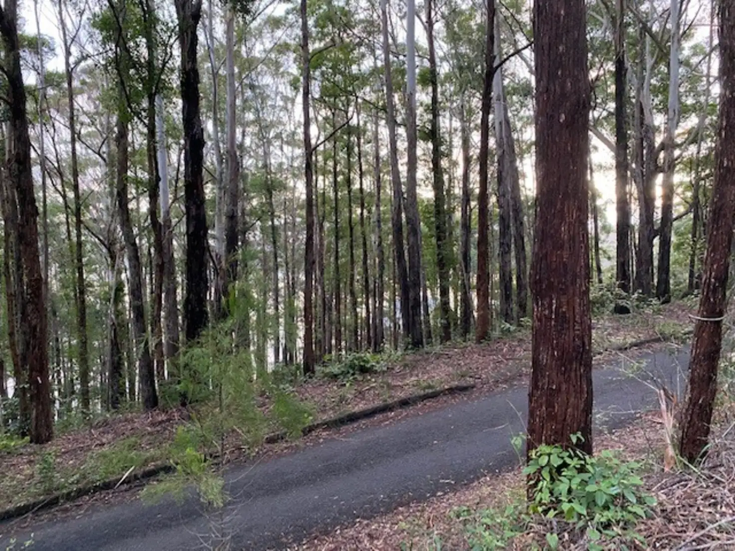 Main view of Homely land listing, 28 New Forster Road, Smiths Lake NSW 2428
