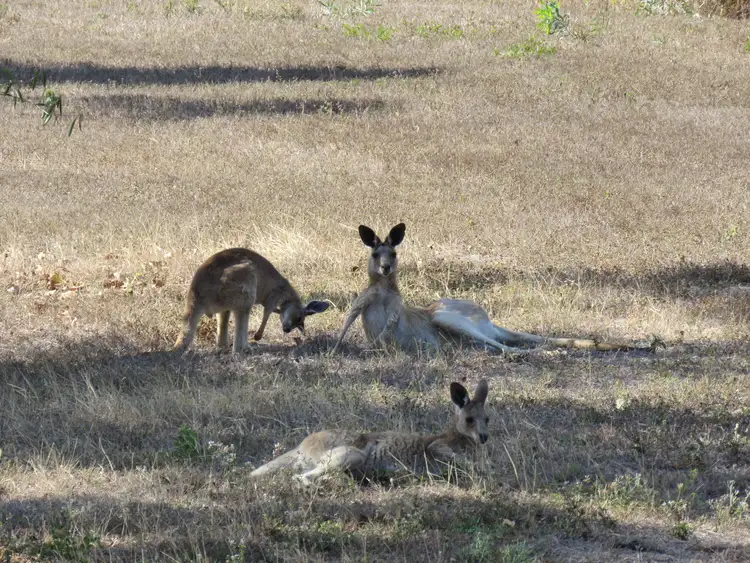 Sixth view of Homely land listing, 70 Oceanview Drive, Bowen QLD 4805