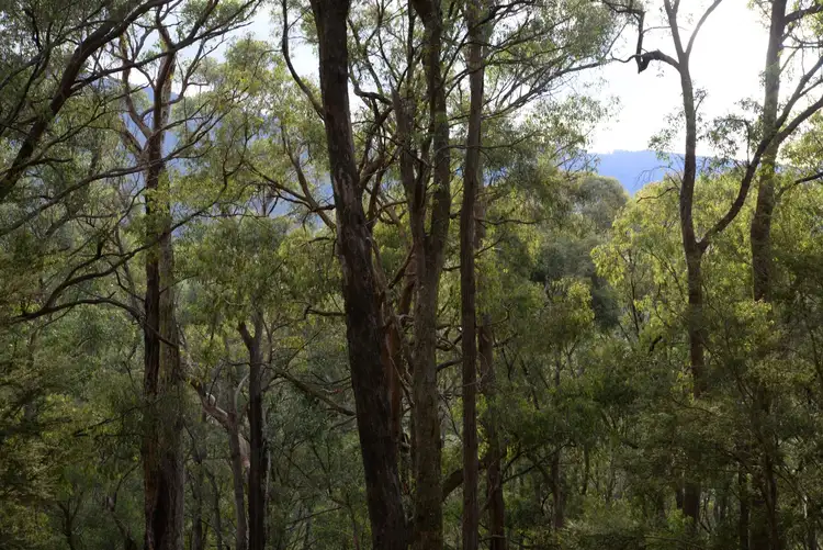 Seventh view of Homely land listing, 6 Yarra Valley Crescent, East Warburton VIC 3799