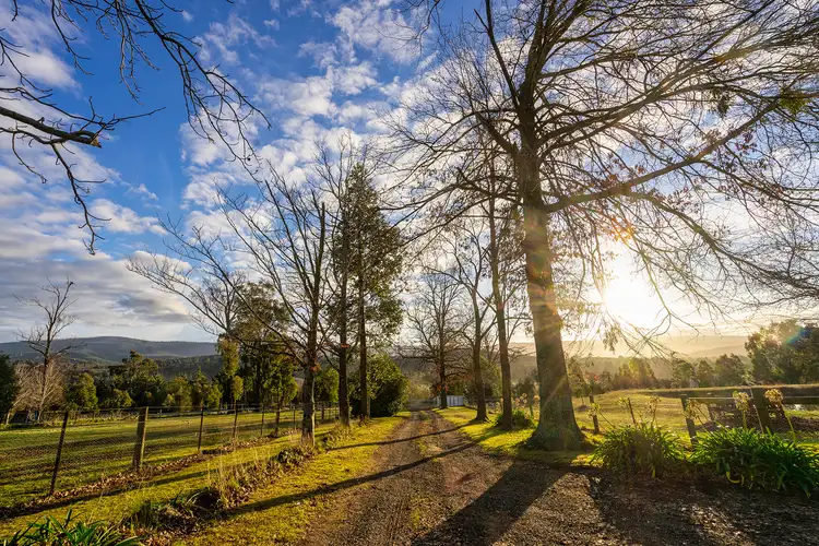 Second view of Homely rural property listing, 2700 Maroondah Highway, Taggerty VIC 3714