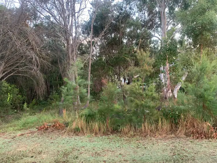 Third view of Homely land listing, 39 Barramundi Street, Macleay Island QLD 4184