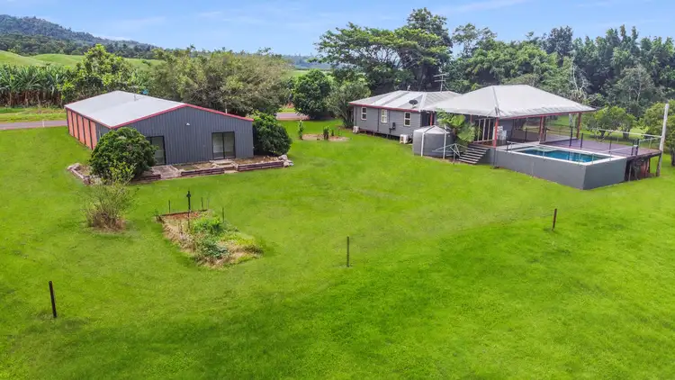 Fifth view of Homely rural property listing, 369 Utchee Creek Road, Utchee Creek QLD 4871