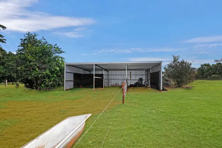 Seventh view of Homely rural property listing, 369 Utchee Creek Road, Utchee Creek QLD 4871