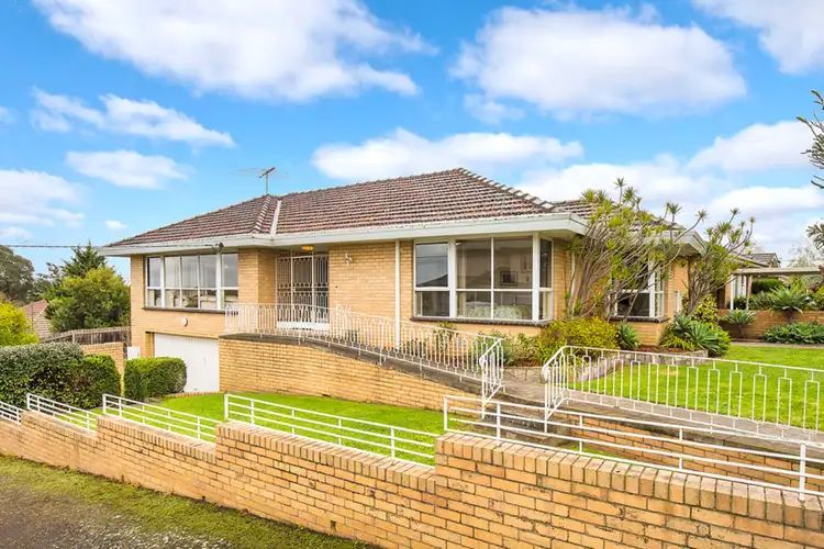 Main view of Homely house listing, 49 Hackett Street, Pascoe Vale South VIC 3044