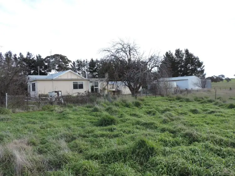 Sixth view of Homely rural property listing, Toronto Kangaloolah Road, Binda NSW 2583