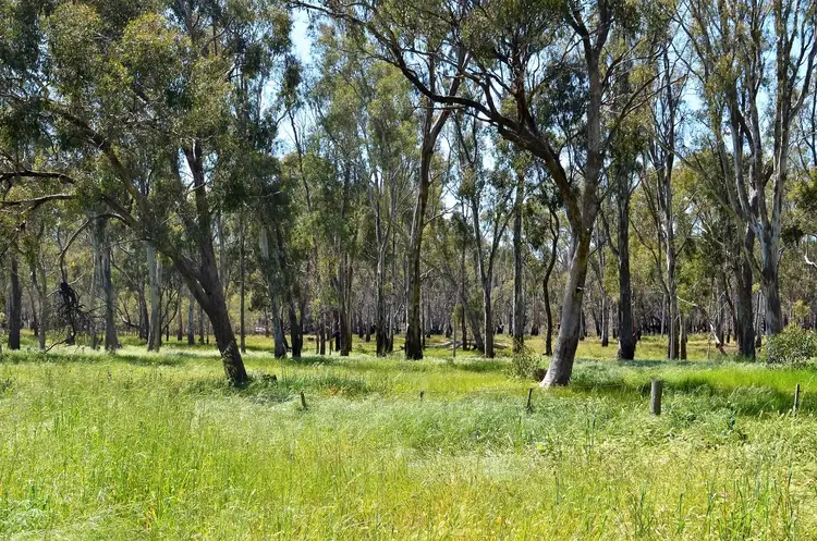 Fourth view of Homely land listing, 268 McNamara's Road, Toolamba VIC 3614