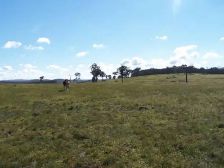 Main view of Homely rural property listing, Lot 16 "Coolabah Park", Bungonia NSW 2580