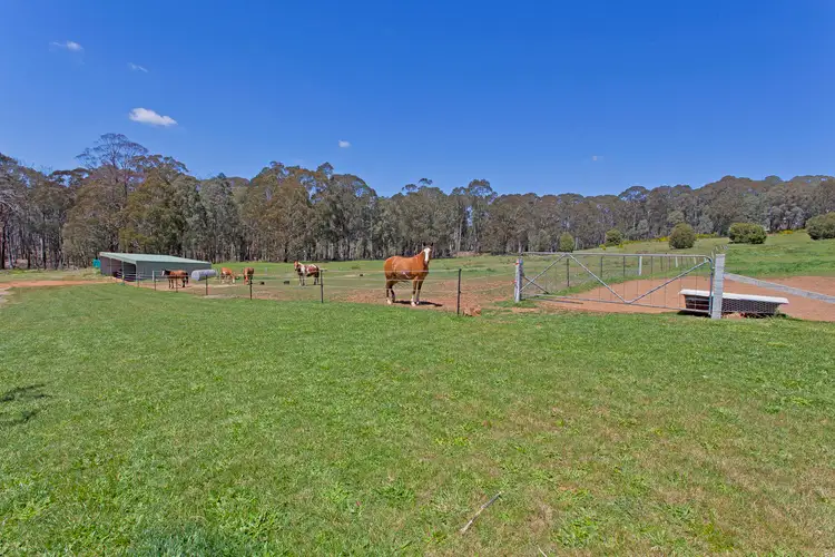 Fifth view of Homely house listing, 60A Lower Nine Mile Road, Stanley VIC 3747