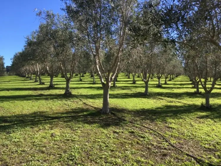 Fourth view of Homely rural property listing, 470 Bahloo Glen Road, Mount Compass SA 5210