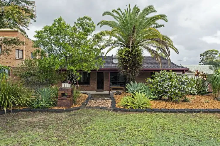 11 Ravenna Street, Springwood QLD 4127