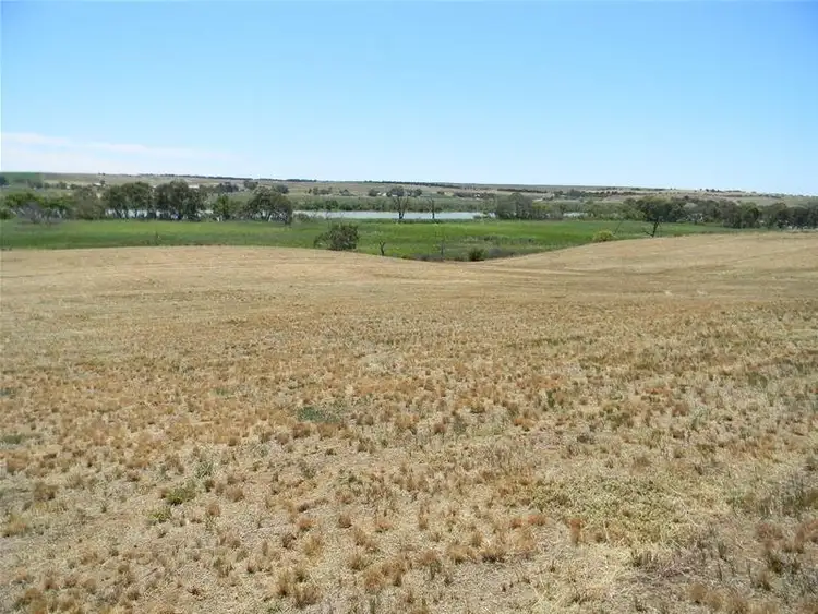 Sixth view of Homely rural property listing, 10-1155 Jervois Road, Murray Bridge SA 5253