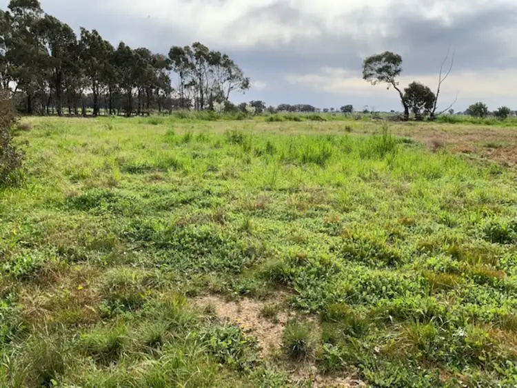 Seventh view of Homely rural property listing, 1629 Walshes Bridge Road, Numurkah VIC 3636