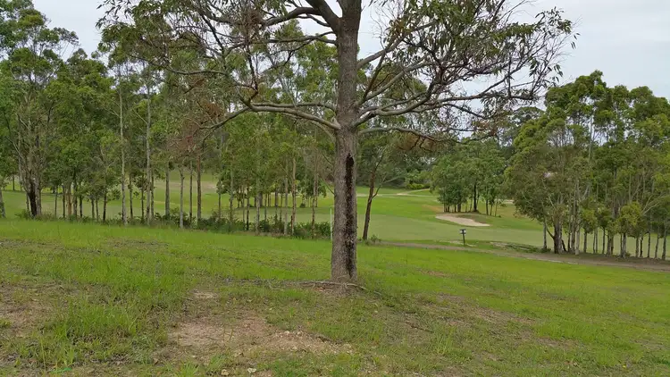 Main view of Homely land listing, 24 The Saddle, Tallwoods Village NSW 2430