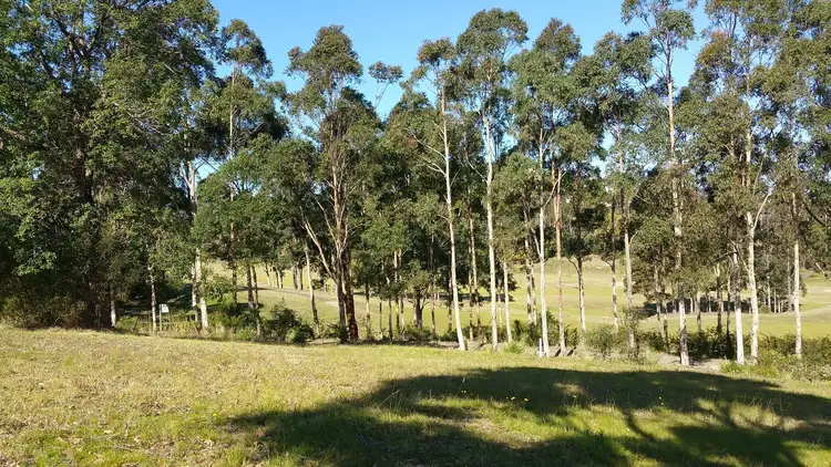 Third view of Homely land listing, 24 The Saddle, Tallwoods Village NSW 2430