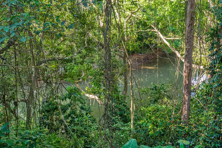 Fourth view of Homely land listing, 20 Azalea Street, Mullumbimby NSW 2482