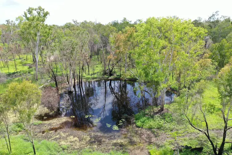 Third view of Homely rural property listing, 261 West Euri Road, Bowen QLD 4805