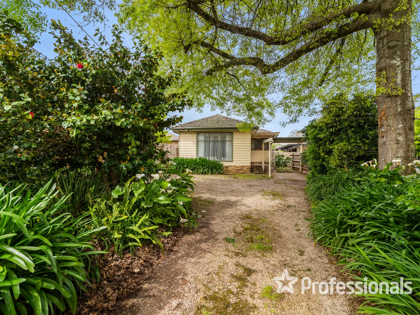 Main view of Homely house listing, 22A Jarvis Avenue, Croydon VIC 3136
