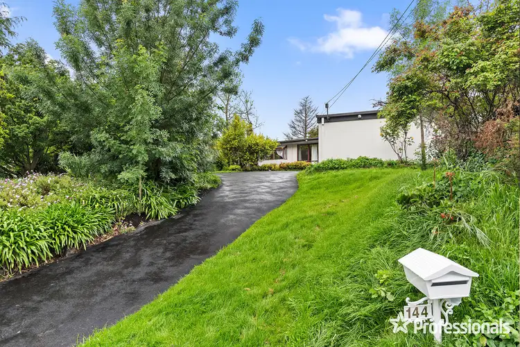 Main view of Homely house listing, 144 Hull Road, Croydon VIC 3136