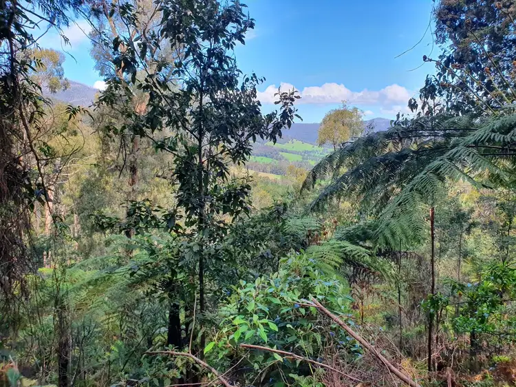 151 The Eagles Nest, Marysville VIC 3779