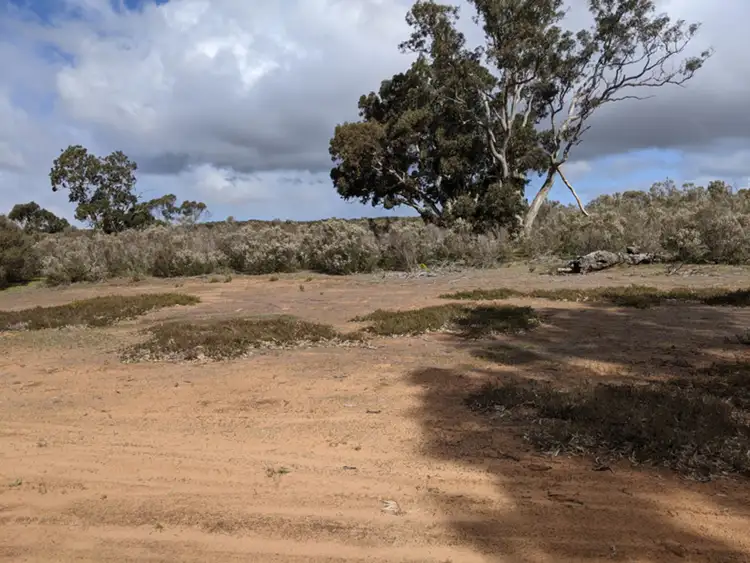 Second view of Homely rural property listing, Lot 31 Carcuma Road, Tintinara SA 5266