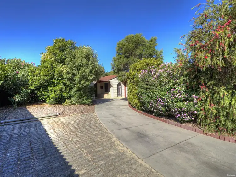Third view of Homely house listing, 45 Strelitzia Avenue, Forrestfield WA 6058
