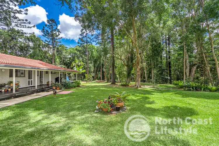 Third view of Homely rural property listing, 2531 Coolamon Scenic Drive, Ocean Shores NSW 2483