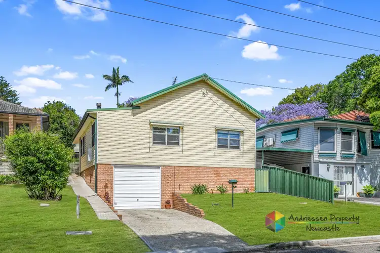 8 Roath Street, Cardiff NSW 2285