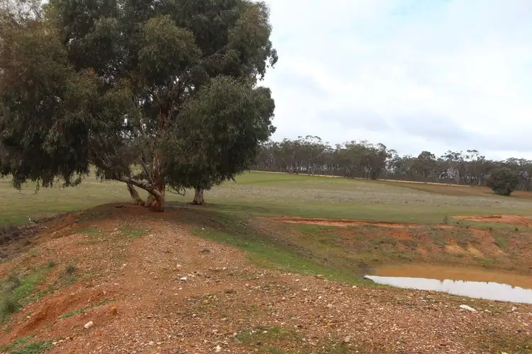 Sixth view of Homely rural property listing, Lot 2 Old Boort Road, Wedderburn VIC 3518