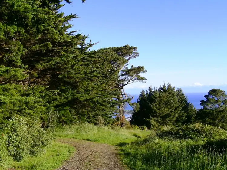 Fourth view of Homely land listing, 330 Tuxion Road, Apollo Bay VIC 3233