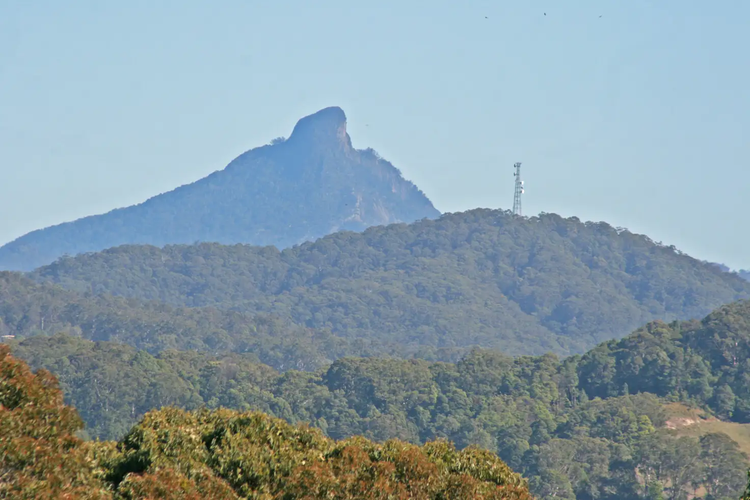 Main view of Homely land listing, Lot 581 # 45 Marsupial Drive, Pottsville NSW 2489