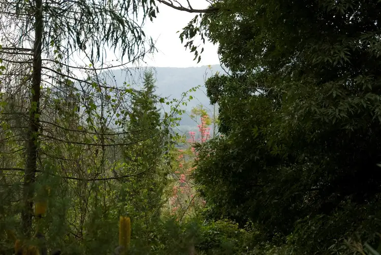 Fifth view of Homely land listing, 28 Pheasant Parade, Warburton VIC 3799
