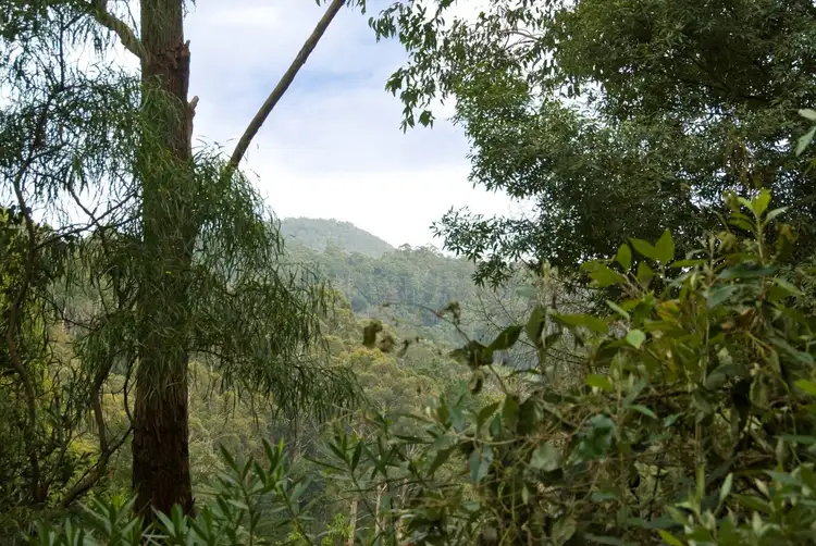 Sixth view of Homely land listing, 28 Pheasant Parade, Warburton VIC 3799