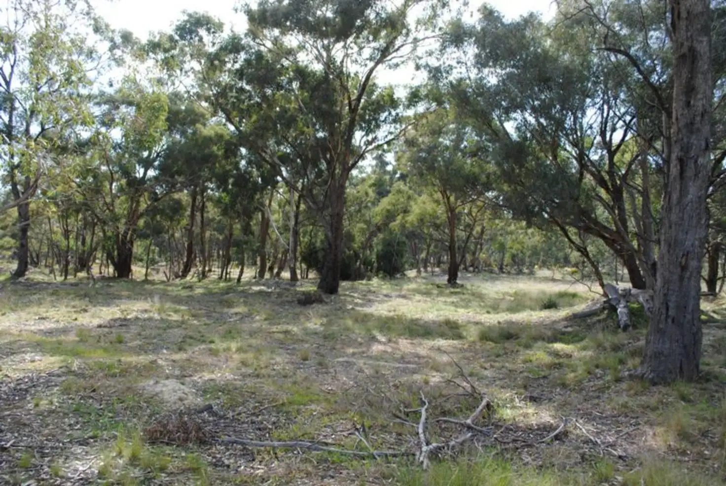 Main view of Homely rural property listing, 53 Queriples Road, Bealiba VIC 3475