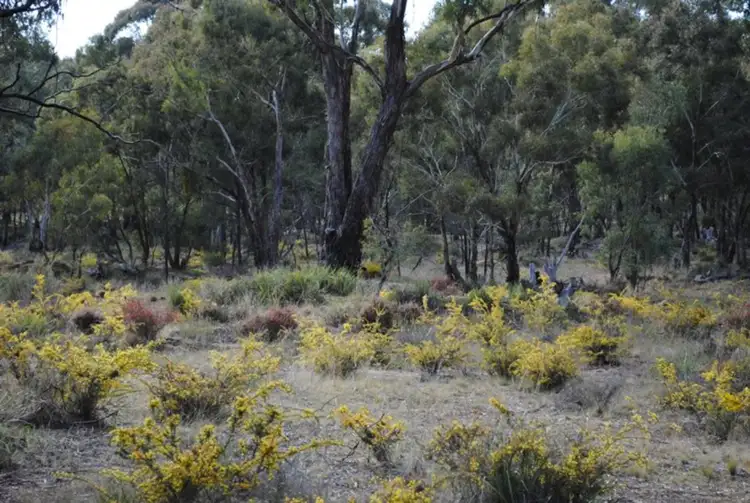 Third view of Homely rural property listing, 53 Queriples Road, Bealiba VIC 3475