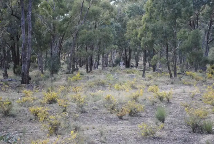 Fourth view of Homely rural property listing, 53 Queriples Road, Bealiba VIC 3475