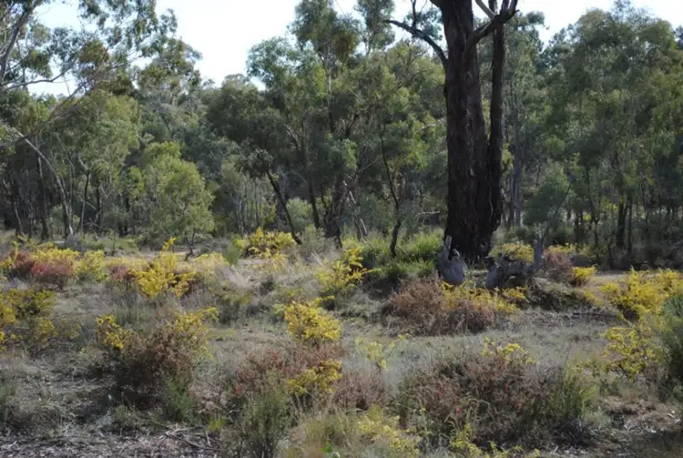 Fifth view of Homely rural property listing, 53 Queriples Road, Bealiba VIC 3475