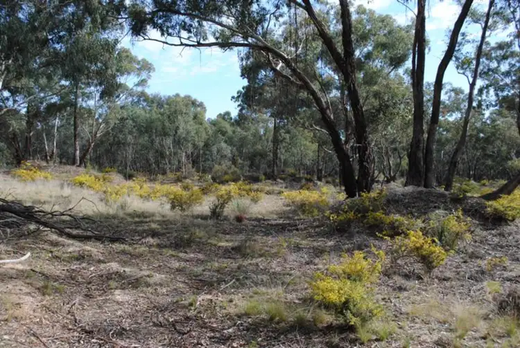 Sixth view of Homely rural property listing, 53 Queriples Road, Bealiba VIC 3475