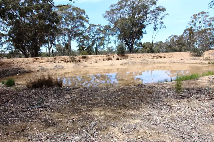 Second view of Homely rural property listing, 829 Maldon-Newstead Road, Maldon VIC 3463